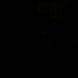 Meet your Posher, Jose